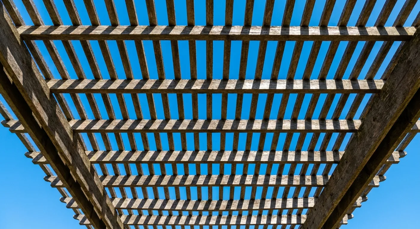 Looking straight up through a pergola's rafters against the sky, the shade pattern visible.
